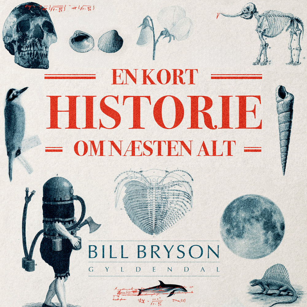 En kort historie om næsten alt