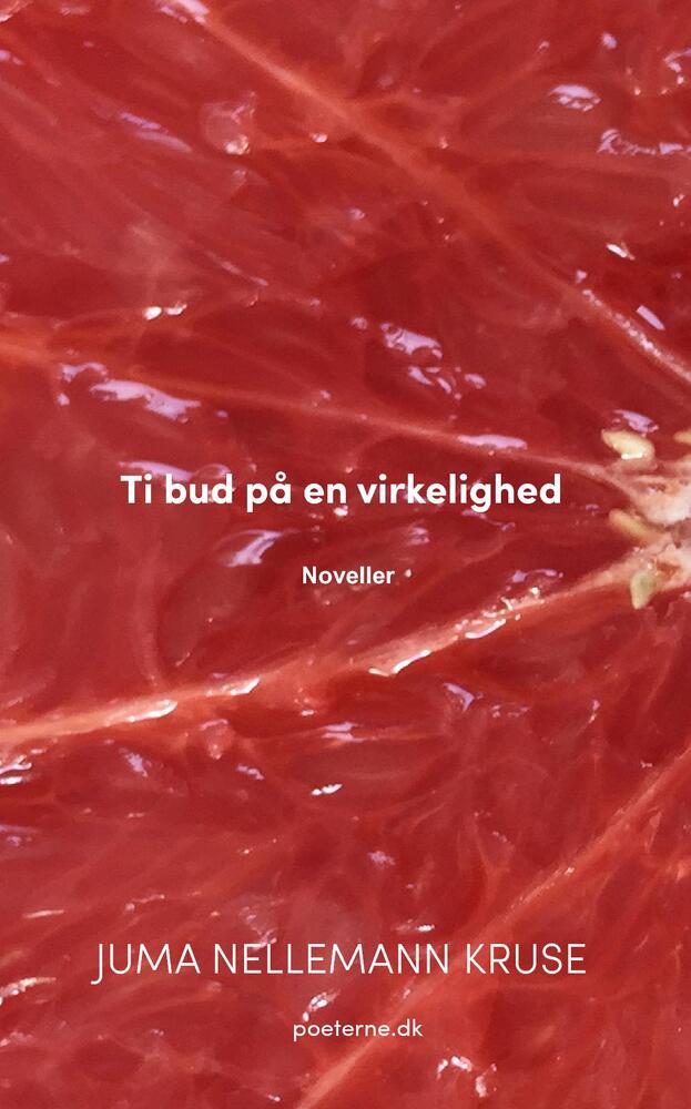 Ti bud på en virkelighed