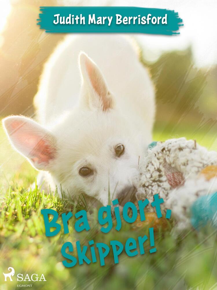 Bra gjort, Skipper!