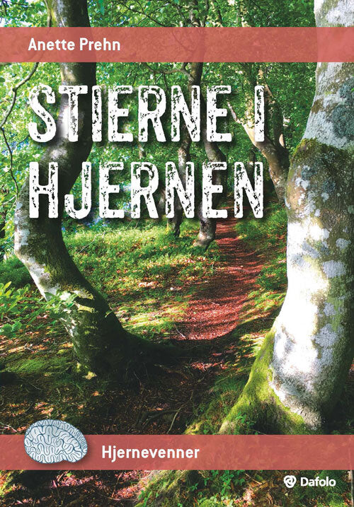 Stierne i hjernen (Pakke med 30 stk.)