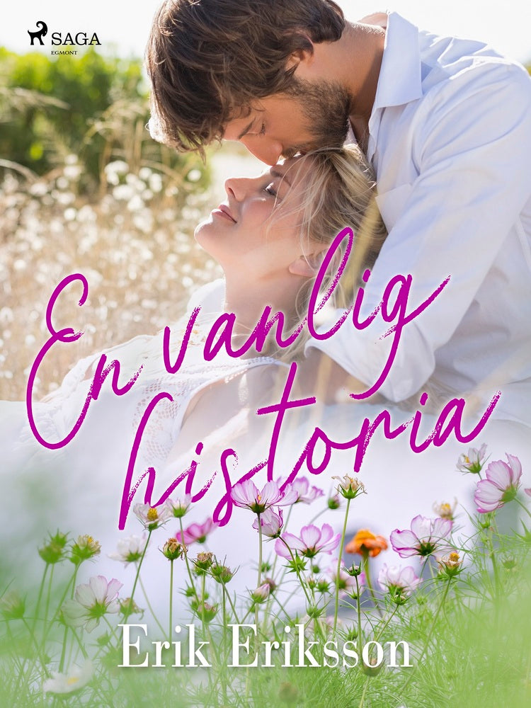 En vanlig historia