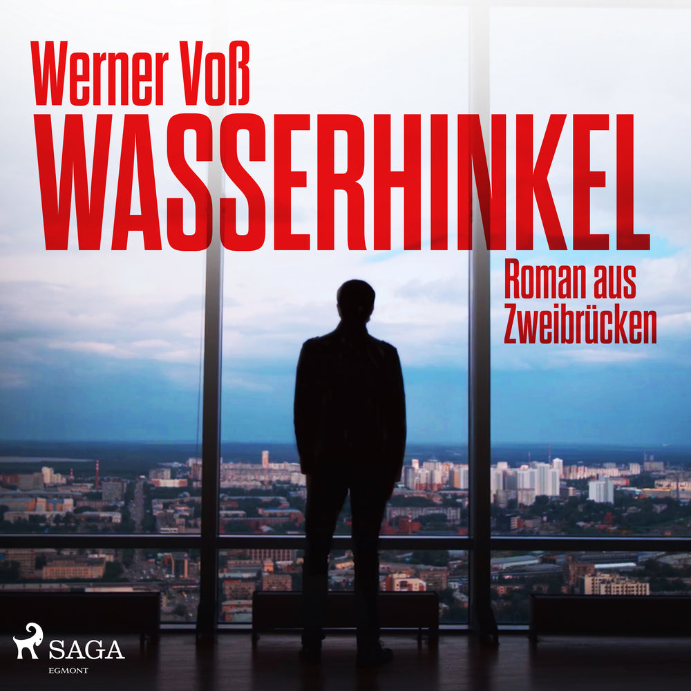 Wasserhinkel - Roman aus Zweibrücken