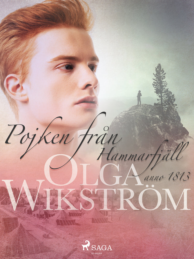 Pojken från Hammarfjäll : anno 1813