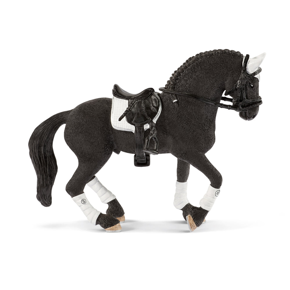 Trakehner hingst i bevægelse