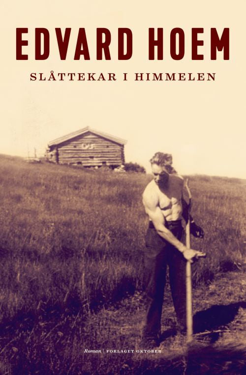 Slåttekar i himmelen : roman