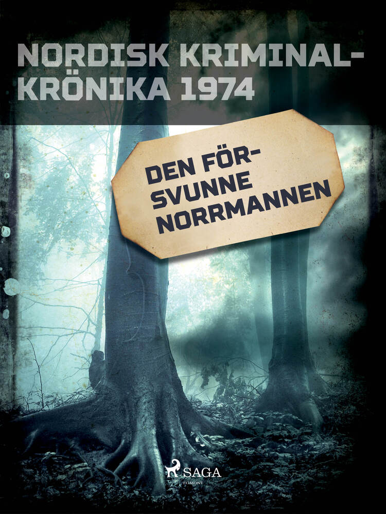 Den försvunne norrmannen