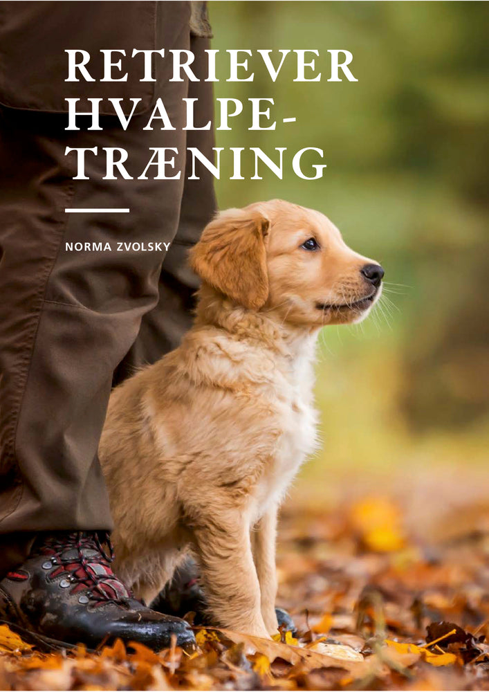 Retriever hvalpetræning