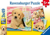 Puslespil cute puppy dogs 3X49 brikker