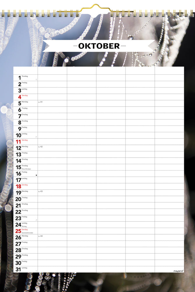 FAMILIEKALENDER MODERNE  2020 MAYLAND