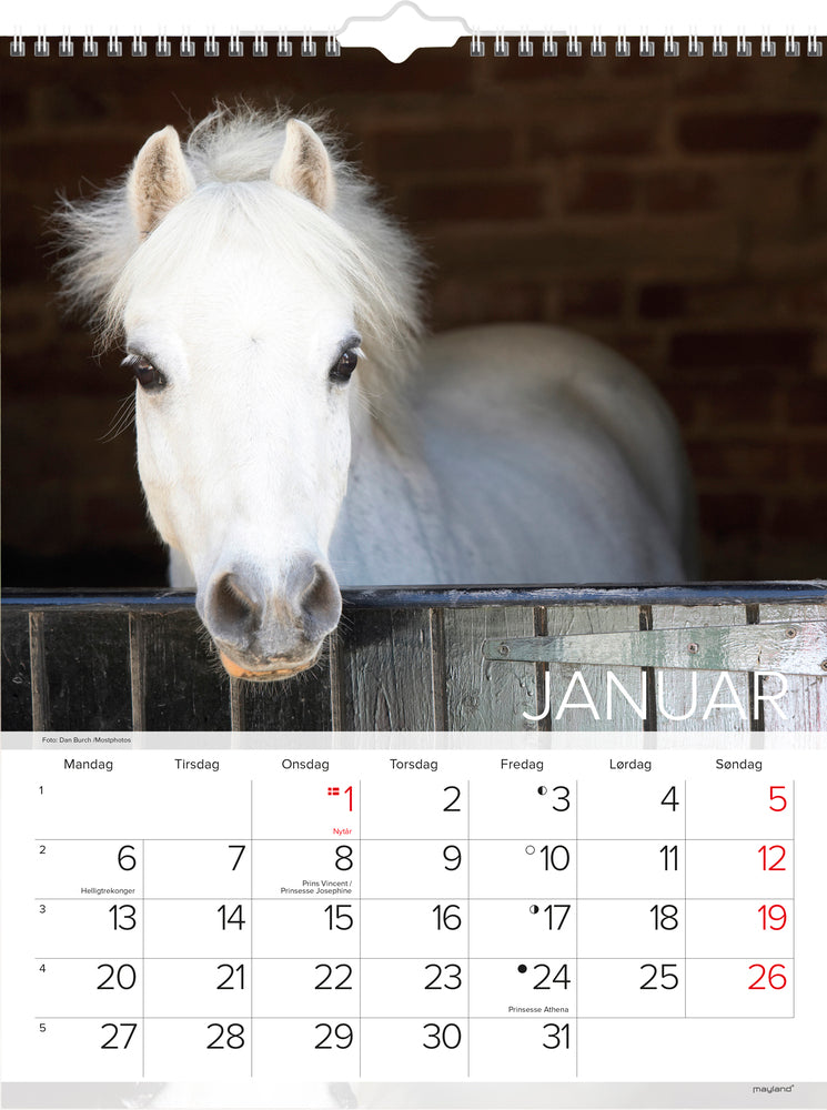 VÆGKALENDER HESTE  2020 MAYLAND