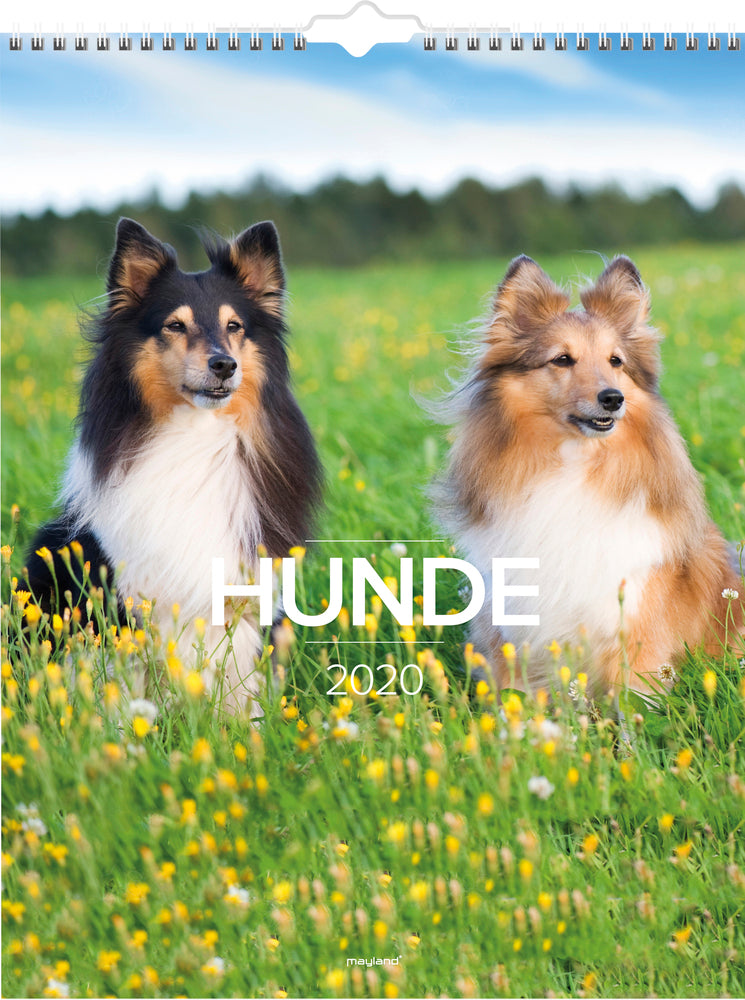 Vægkalender hunde  2020 Mayland