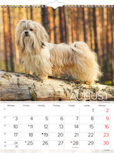Vægkalender hunde  2020 Mayland