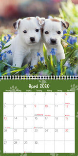 VÆGKALENDER HUNDEHVALPE  2020 MAYLAND
