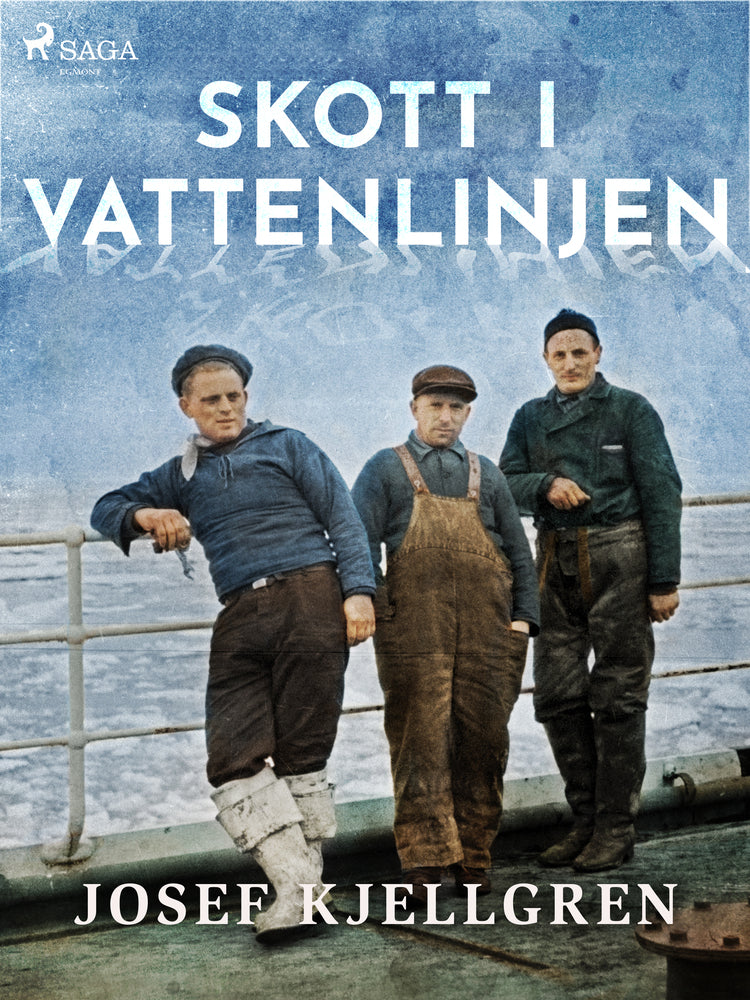 Skott i vattenlinjen