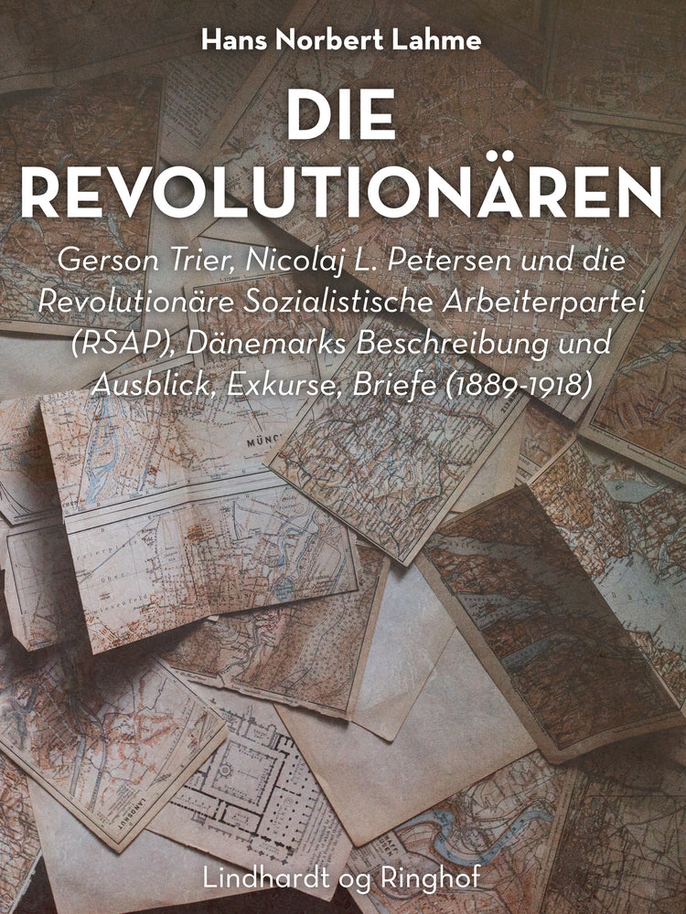 Die Revolutionären. Gerson Trier, Nicolaj L. Petersen und die Revolutionäre Sozialistische Arbeiterpartei (RSAP), Dänemarks Beschreibung und Ausblick,