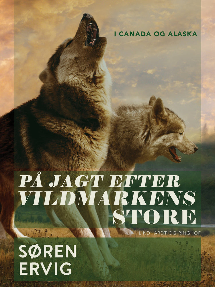 På jagt efter vildmarkens store