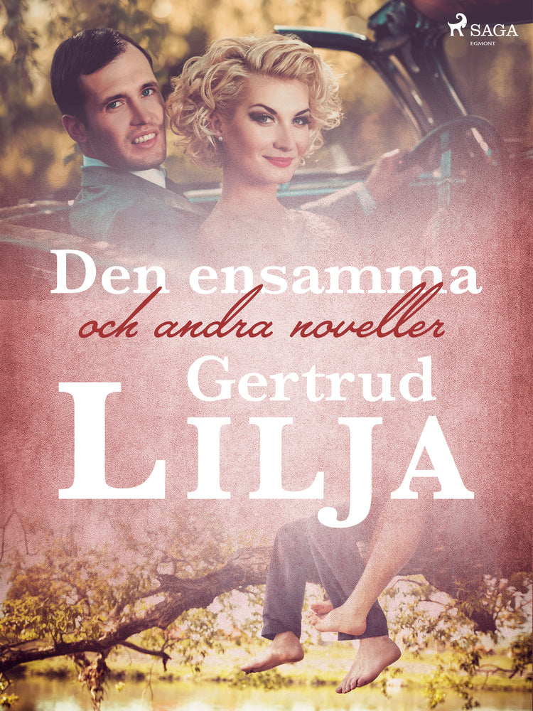 Den ensamma och andra noveller