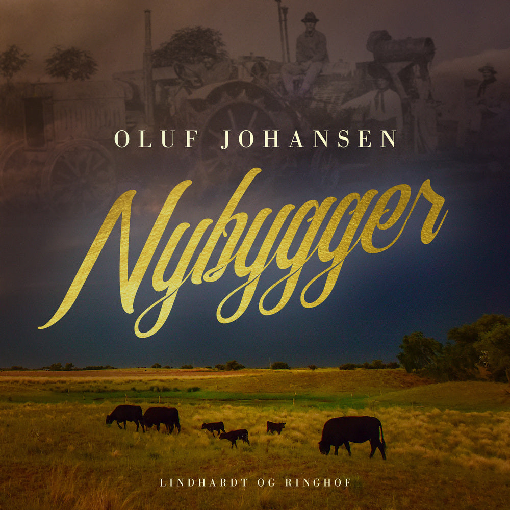 Nybygger