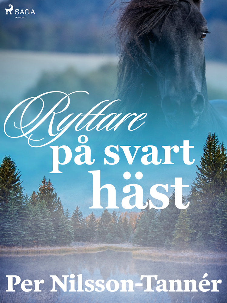 Ryttare på svart häst