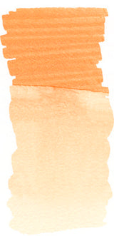 Tusser akvarel watercolour ALBRECHT DÜRER