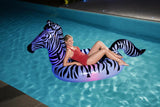 Zebra med led lys