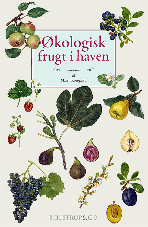 ØKOLOGISK FRUGT I HAVEN