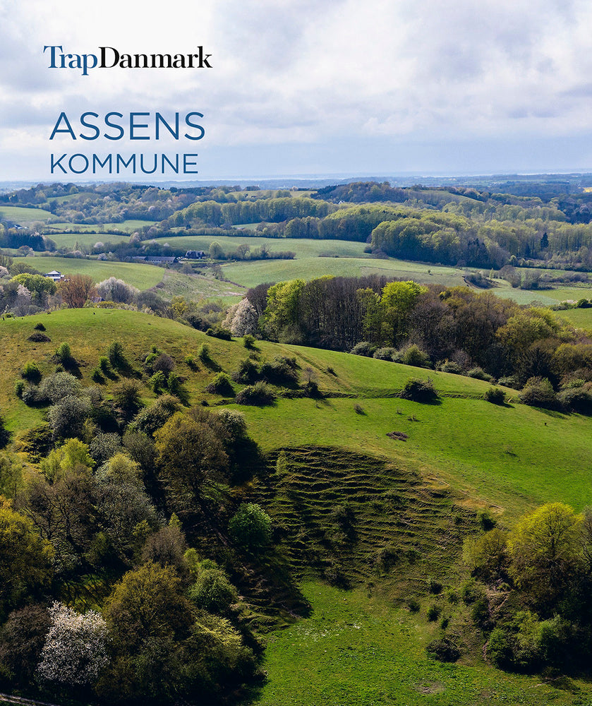 Trap Danmark: Assens Kommune