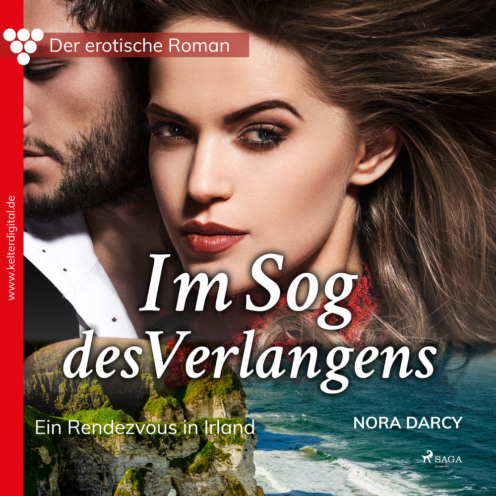 Der erotische Roman 3: Im Sog des Verlangens. Ein Rendezvous in Irland