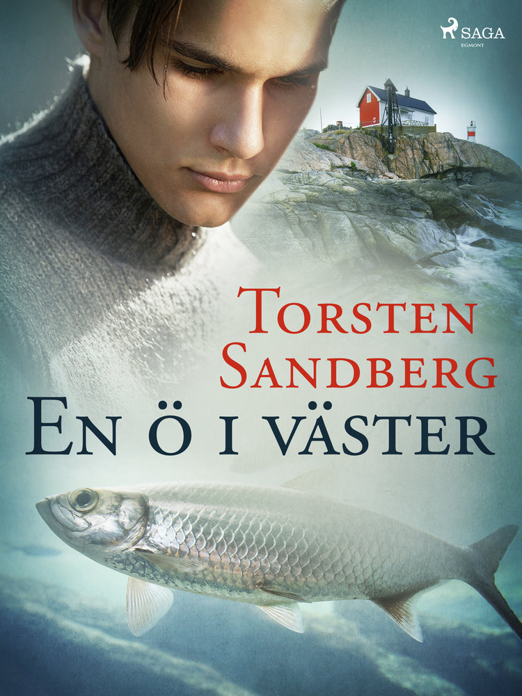 En ö i väster