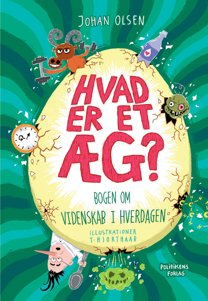 Hvad er et æg?