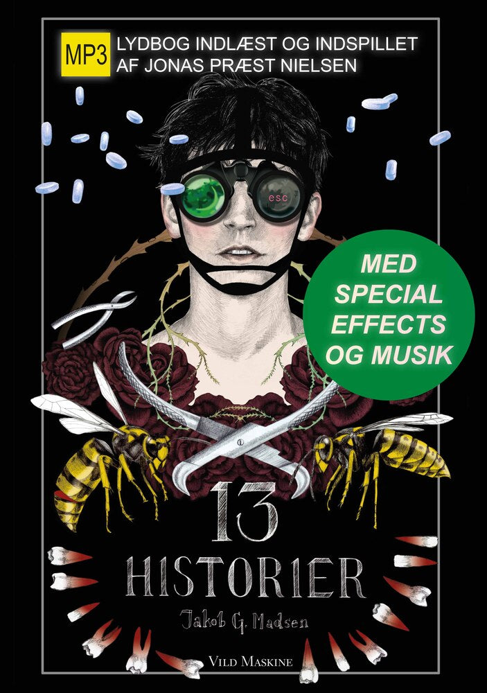 13 HISTORIER