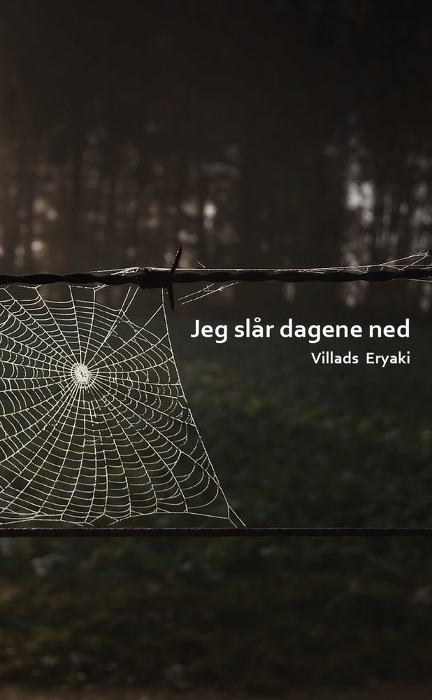 Jeg slår dagene ned