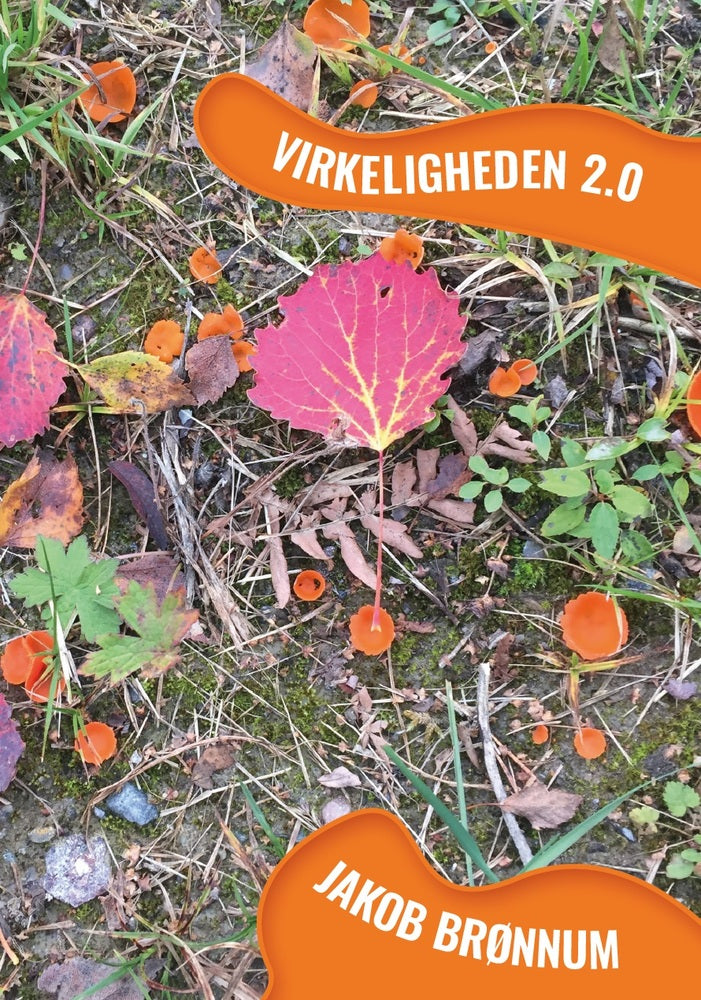 Virkeligheden 2.0
