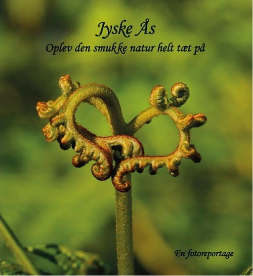 Jyske Ås