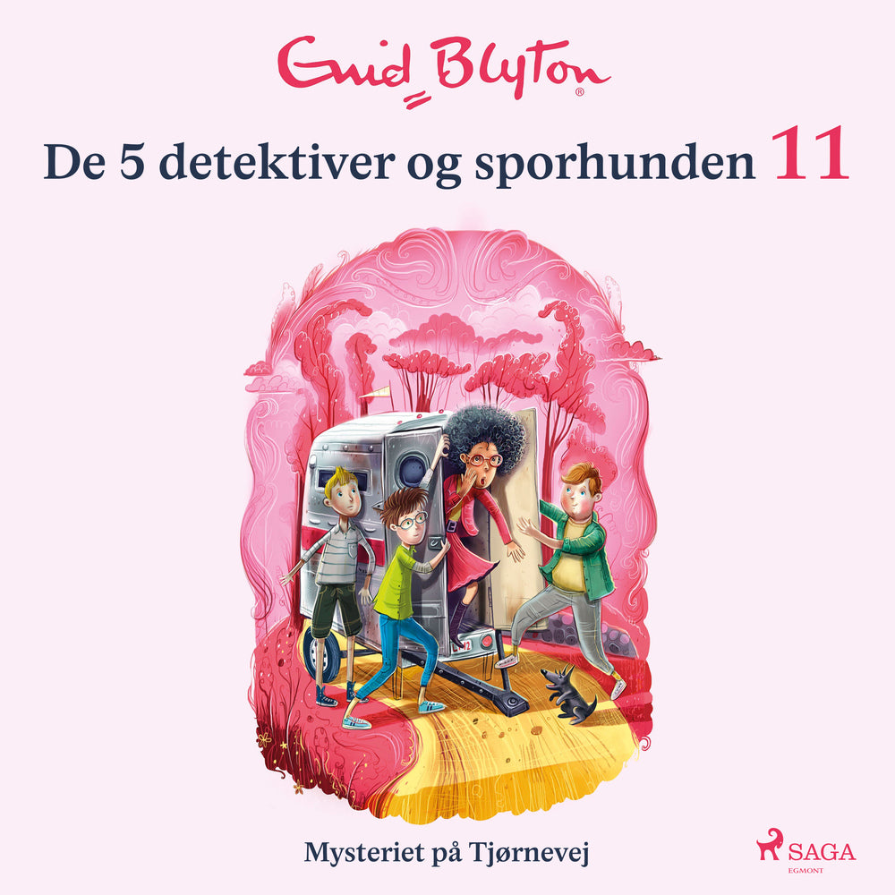 De 5 detektiver og sporhunden 11 - Mysteriet på Tjørnevej