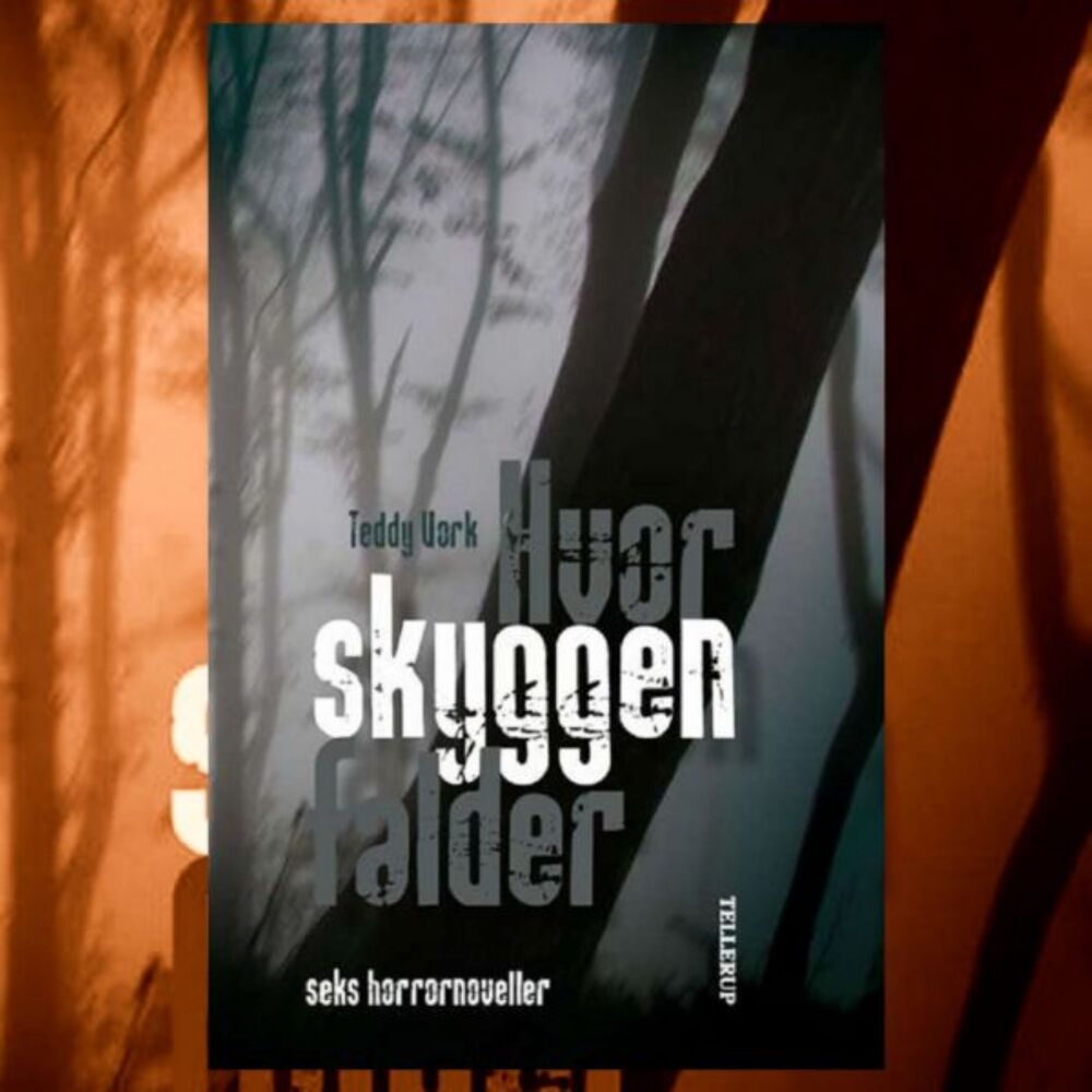 Hvor skyggen falder