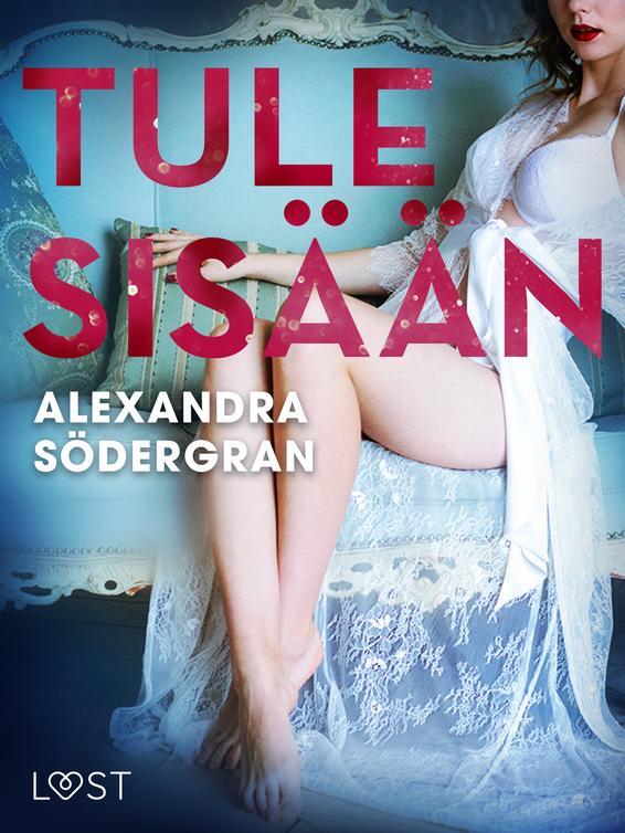 Tule sisään - eroottinen novelli