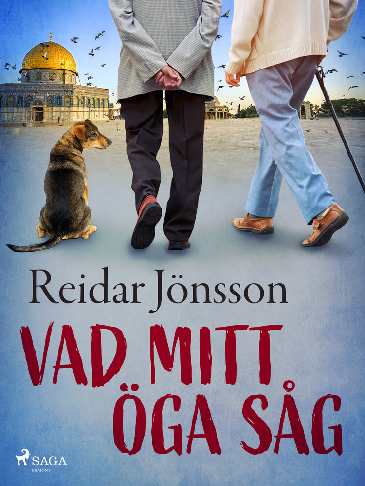 Vad mitt öga såg