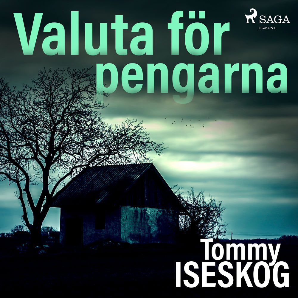 Valuta för pengarna