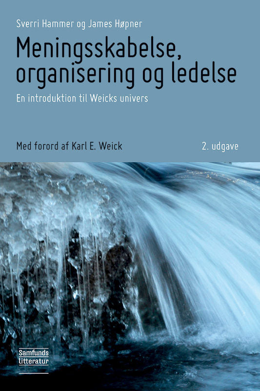 Meningsskabelse, organisering og ledelse