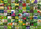 Puslespil 99 Herbs and Spices 1000 brikker