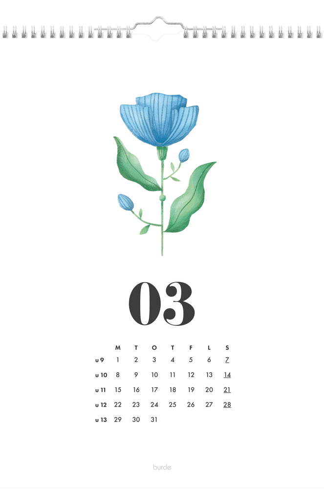 Vægkalender A4 annies årsillustrationer 2021 Mayland