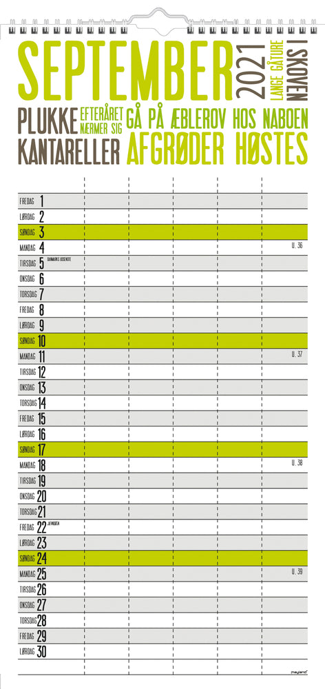 Familiekalender trendart 2021 22 x 43 cm Mayland
