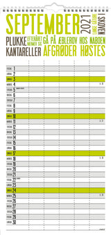 Familiekalender trendart 2021 22 x 43 cm Mayland