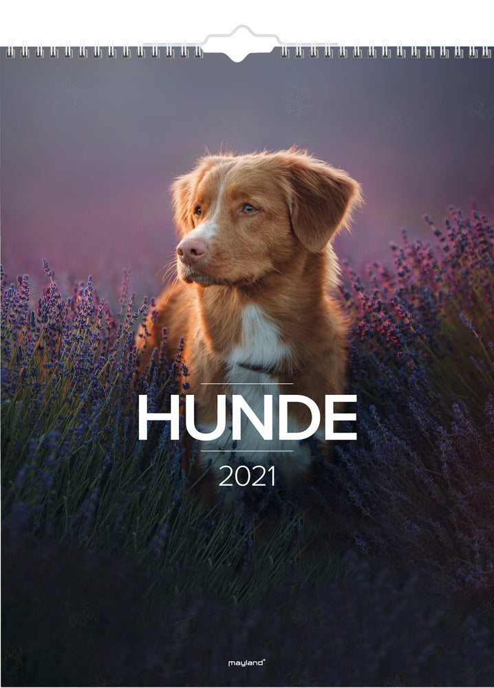 Vægkalender hunde 2021 29,5 x 39 cm Mayland
