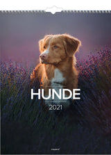 Vægkalender hunde 2021 29,5 x 39 cm Mayland