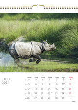 Vægkalender savannen 2021 29,5 x 39 cm Mayland