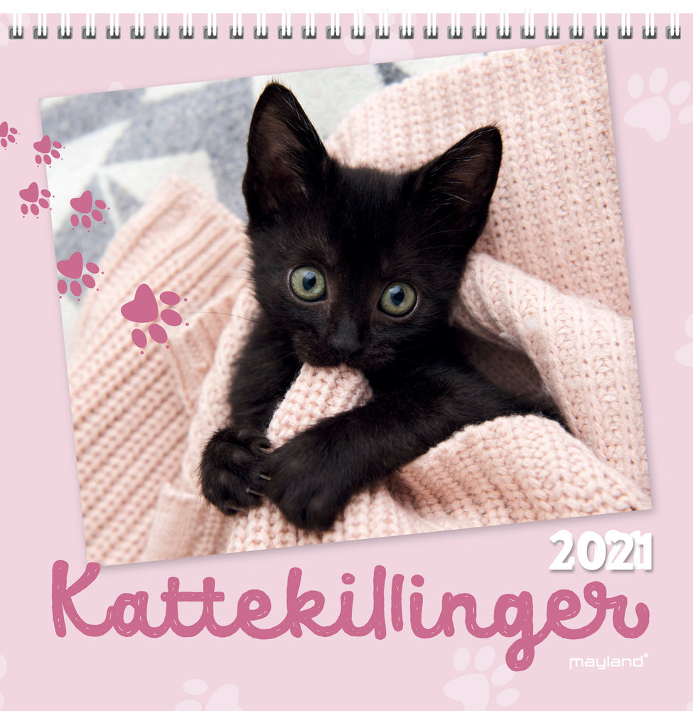 Vægkalender kattekillinger 2021 16 x 16 cm Mayland