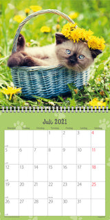 Vægkalender kattekillinger 2021 16 x 16 cm Mayland