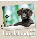 Vægkalender hundehvalpe 2021 16 x 16 cm Mayland
